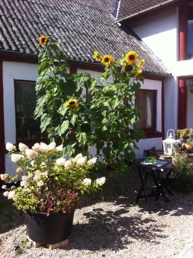 Bed and Breakfast Praestogaard Exterior foto