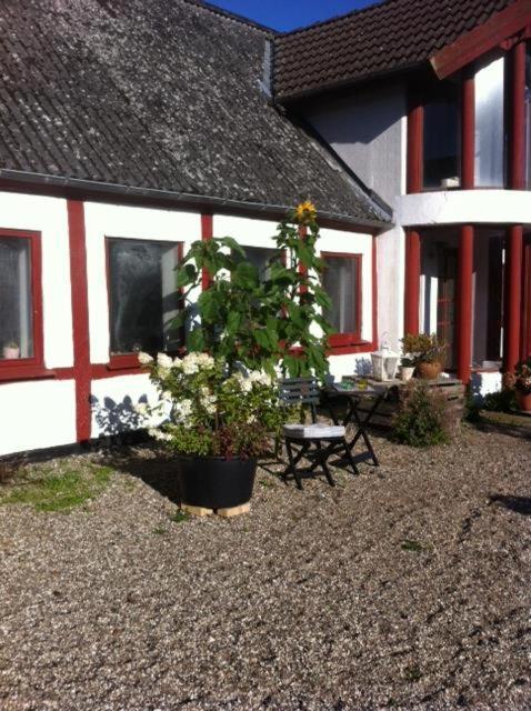Bed and Breakfast Praestogaard Exterior foto
