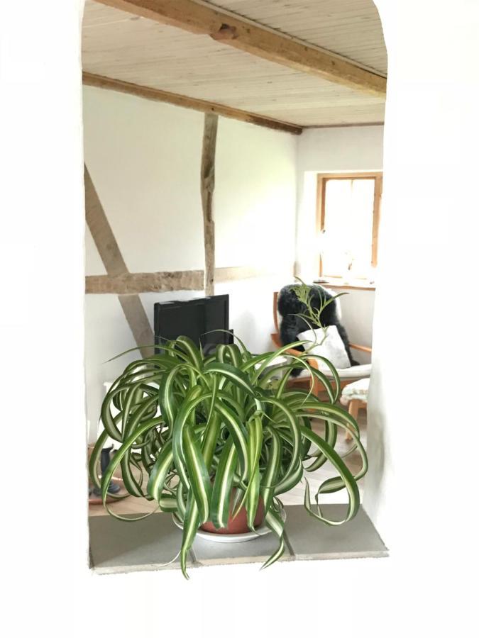 Bed and Breakfast Praestogaard Exterior foto
